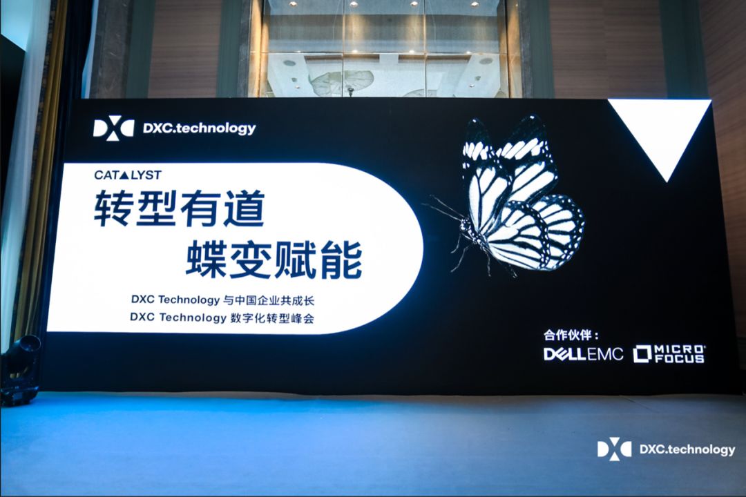 伪九号战术：现代中锋的转型之路的简单介绍