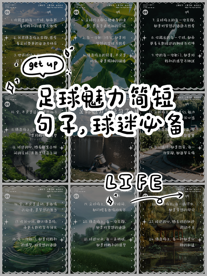 球迷语录大盘点：你中几条？的简单介绍