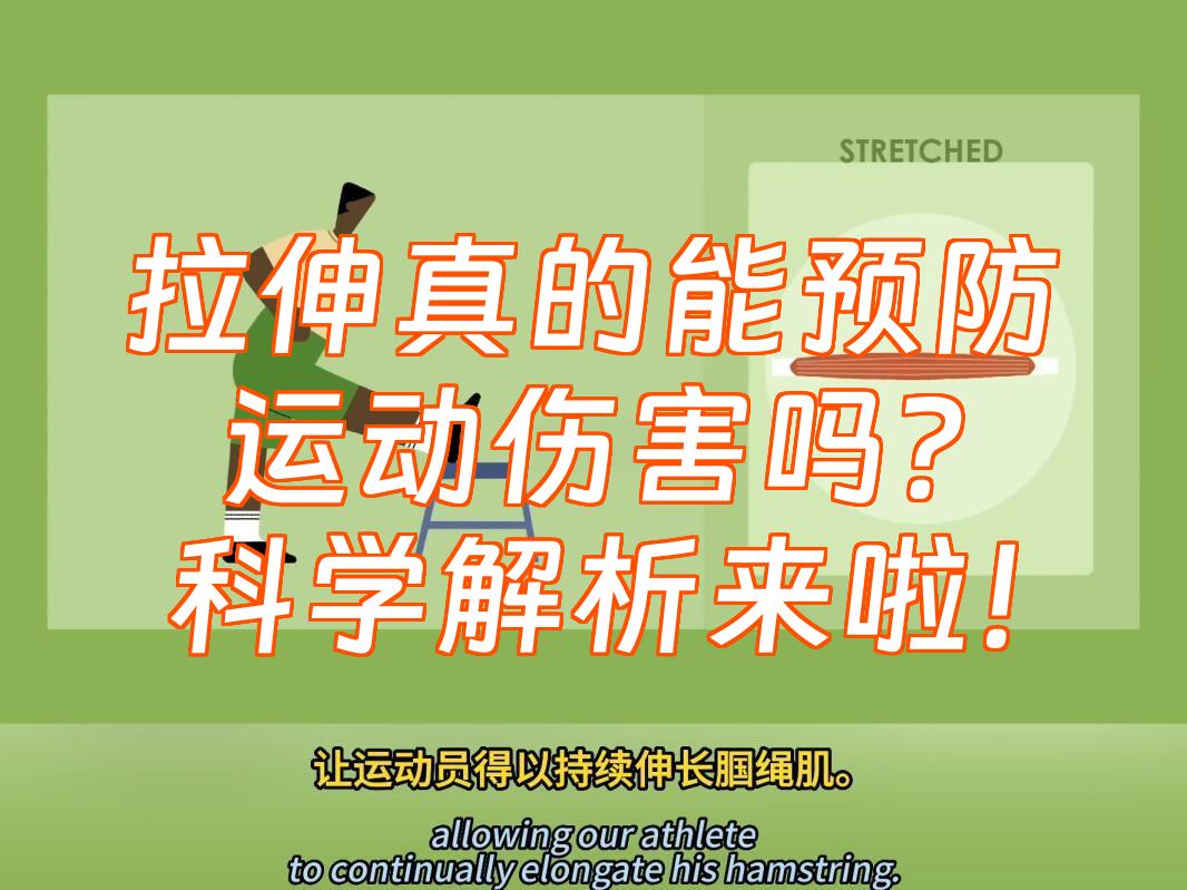 为什么运动后要拉伸？科学告诉你答案