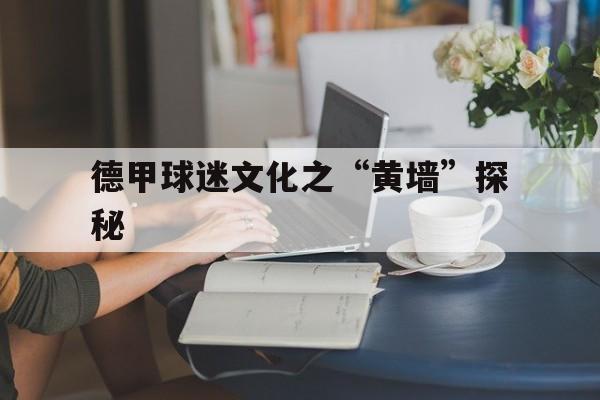 关于德甲球迷文化之“黄墙”探秘的信息